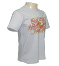 CAMISA ELECTRIC GIPSY BEGE
