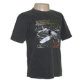 CAMISETA AIRPLANE MOHAWK CURTIS P36 CINZA